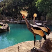 Saída Pedagógica – Animália Park